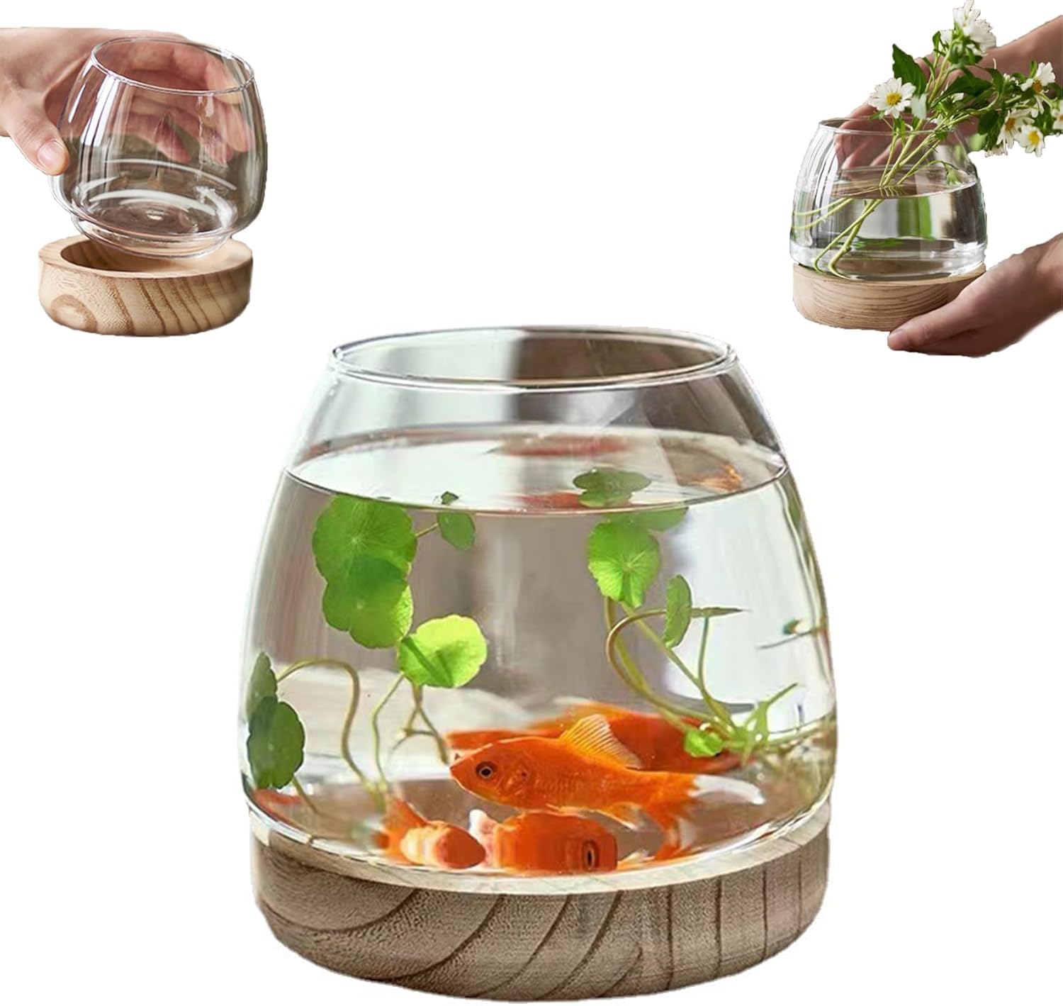 Amazon | WEIPIAO 金魚鉢 ガラス 丸 金魚 水槽 小さな魚の水槽